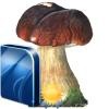 El campió de les còpies de seguretat, Cobian Backup. (Windows)